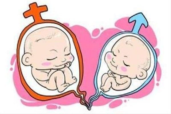 “谈笑爱心基金康健试管婴儿专项基金”千人助孕IUI公益行动(图1) “谈笑爱心基金康健试管婴儿专项基金”千人助孕IUI公益行动(图1)