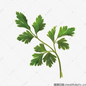 中医教你艾叶灰的五大妙用 