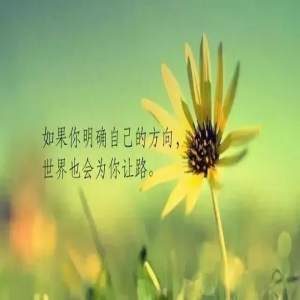 做好婆婆不简单 教你婆媳相处的妙招