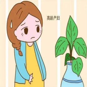 科学备孕知识学习 受孕的最佳时间
